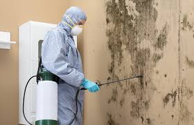 Best Residential Mold Inspection & Testing  in Hebron, PA